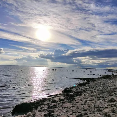 Luxury Pool By Sea - By Traum Σπίτι διακοπών Høruphav